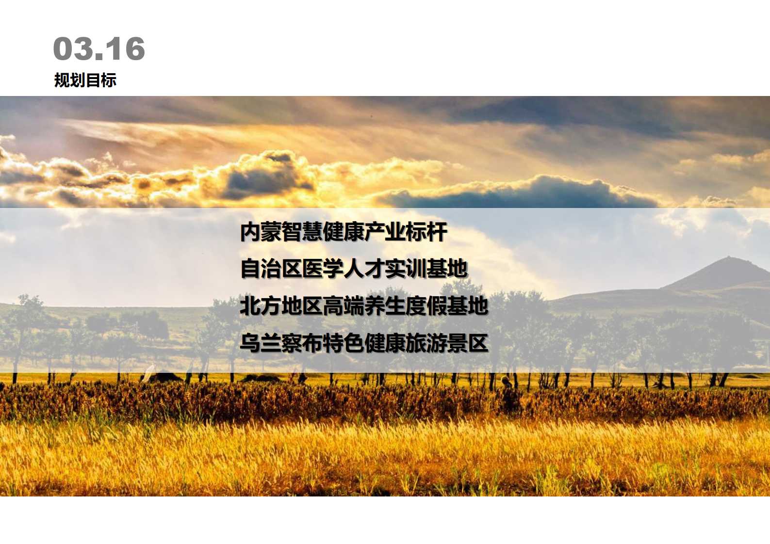 乌兰察布医疗大健康产业园（新）201905_33.png