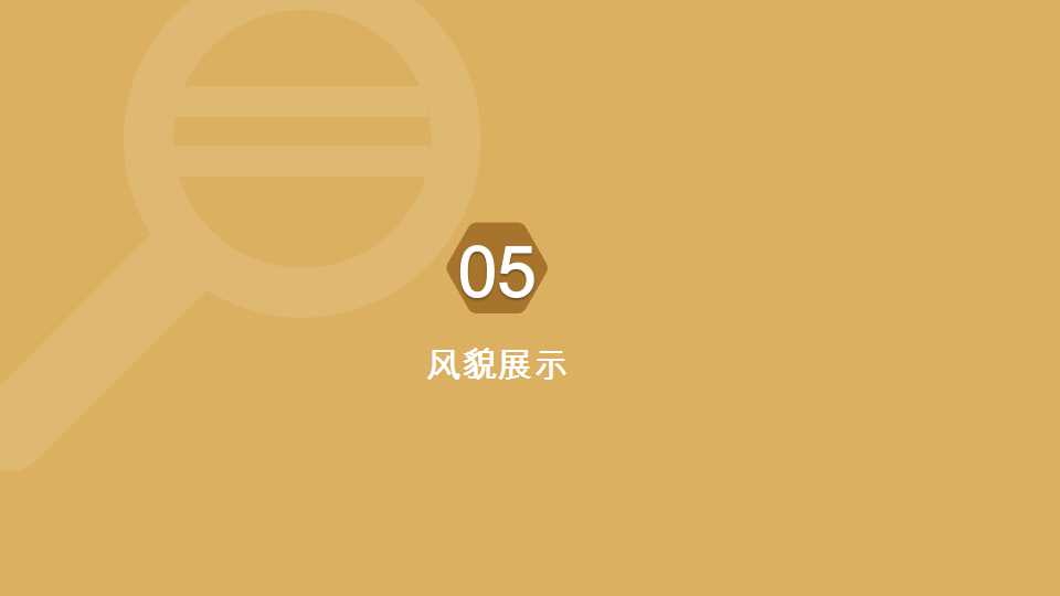 平阴县东阿阿胶小镇项目介绍20190528_35.png